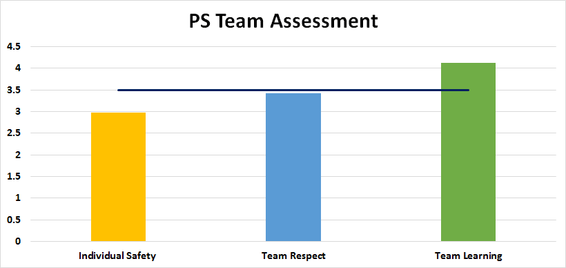 PS Team Assessment Summary